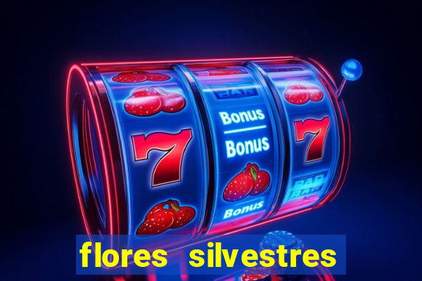 flores silvestres desbravadores desbravadores 25